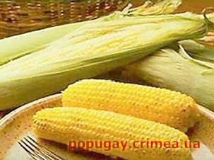 кукуруза