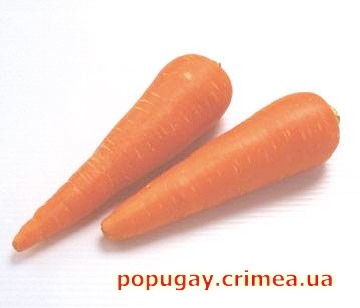 морковь