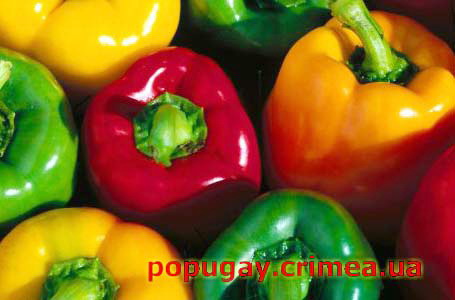 перец сладкий болгарский