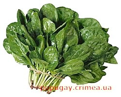 шпинат